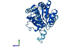 AlphaFold protein structure predicition of Human Recombinant EIF2B1 Protein, UniprotID Q14232