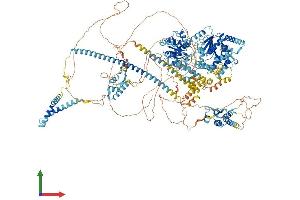 AlphaFold protein structure predicition of Human Recombinant SMARCA2 Protein, UniprotID P51531
