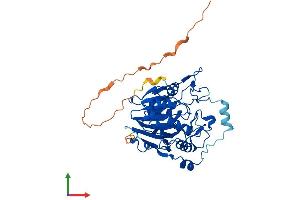 AlphaFold protein structure predicition of Mouse Recombinant Napepld Protein, UniprotID Q8BH82