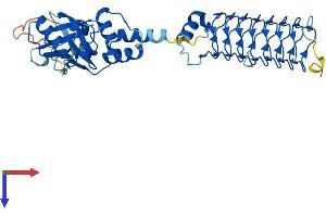 AlphaFold protein structure predicition of Human Recombinant KCTD9 Protein, UniprotID Q7L273