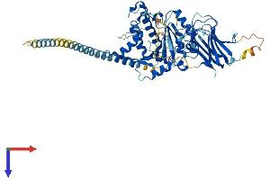 AlphaFold protein structure predicition of Human Recombinant MGAT4B Protein, UniprotID Q9UQ53