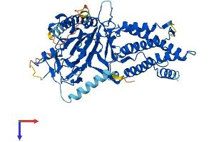 AlphaFold protein structure predicition of Mouse Recombinant Fto Protein, UniprotID Q8BGW1