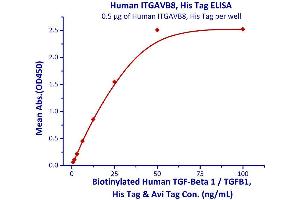 Measured by its binding ability in a functional ELISA. (ITGAV/ITGB8 Protein (AA 31-992) (His tag))
