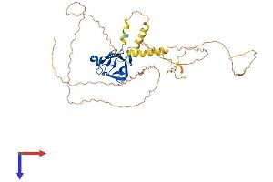 AlphaFold protein structure predicition of Mouse Recombinant Lmntd1 Protein, UniprotID Q9D4C1
