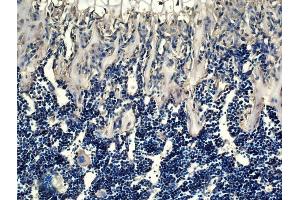 Generously provided by Markus Linder from Medical University Vienna as part of the Bioss Discovery Program.