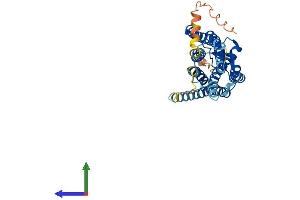 AlphaFold protein structure predicition of Mouse Recombinant Ffar4 Protein, UniprotID Q7TMA4