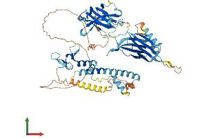 AlphaFold protein structure predicition of Mouse Recombinant Sytl3 Protein, UniprotID Q99N48