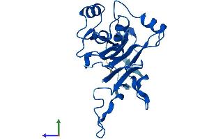 AlphaFold protein structure predicition of Human Recombinant GGTLC1 Protein, UniprotID Q9BX51