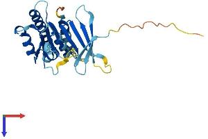 AlphaFold protein structure predicition of Human Recombinant SWSAP1 Protein, UniprotID Q6NVH7