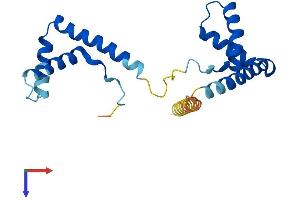 AlphaFold protein structure predicition of Mouse Recombinant Hmgb3 Protein, UniprotID O54879