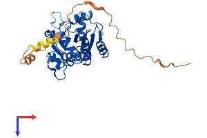 AlphaFold protein structure predicition of Human Recombinant YJEFN3 Protein, UniprotID A6XGL0