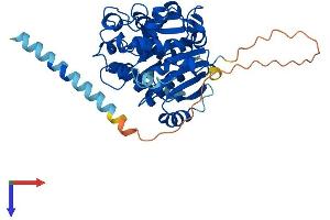 AlphaFold protein structure predicition of Mouse Recombinant Gxylt1 Protein, UniprotID Q3UHH8