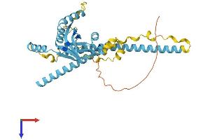 AlphaFold protein structure predicition of Human Recombinant EIF3H Protein, UniprotID O15372