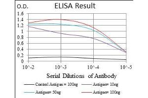 Black line: Control Antigen (100 ng), Purple line: Antigen(10 ng), Blue line: Antigen (50 ng), Red line: Antigen (100 ng),