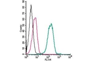 Cell surface detection of P2X7 Receptor by indirect flow cytometry in live intact human THP-1 monocytic leukemia cells: (black line) Cells.