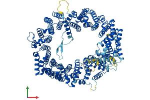 AlphaFold protein structure predicition of Human Recombinant XPO1 Protein, UniprotID O14980