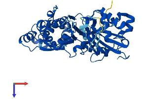 AlphaFold protein structure predicition of Human Recombinant ACTR2 Protein, UniprotID P61160