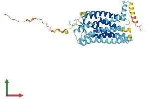 AlphaFold protein structure predicition of Human Recombinant CXCR1 Protein, UniprotID P25024