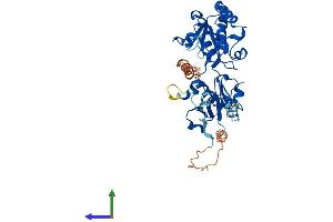 AlphaFold protein structure predicition of Mouse Recombinant Fut4 Protein, UniprotID Q11127