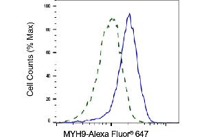 Validation of MYH9 knockdown using flow cytometry. (Myosin 9 anticorps)