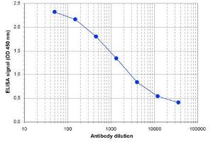 anti-SET Domain Containing 1A (SETD1A) (Internal Region), (N-Term) antibody