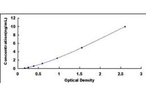 Typical standard curve (Dystrobrevin beta Kit ELISA)