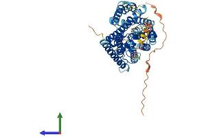 AlphaFold protein structure predicition of Human Recombinant SLC38A2 Protein, UniprotID Q96QD8