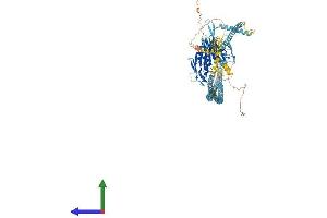 AlphaFold protein structure predicition of Human Recombinant KIF11 Protein, UniprotID P52732