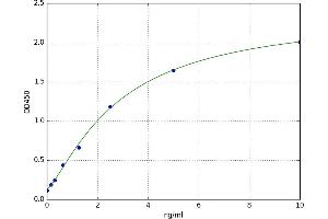 A typical standard curve (Cyclin D1 Kit ELISA)