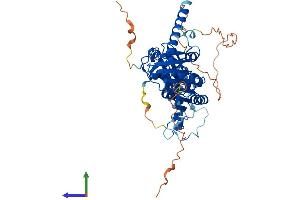 AlphaFold protein structure predicition of Human Recombinant TRMT6 Protein, UniprotID Q9UJA5