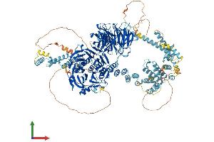 AlphaFold protein structure predicition of Human Recombinant GEMIN5 Protein, UniprotID Q8TEQ6