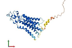 AlphaFold protein structure predicition of Human Recombinant PLPP2 Protein, UniprotID O43688