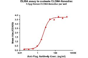 Elisa plates were pre-coated with Flag Tag C-Nanodisc (0.