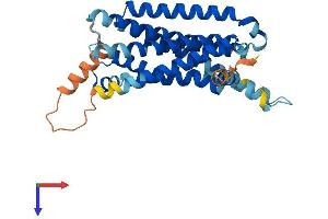 AlphaFold protein structure predicition of Human Recombinant MC5R Protein, UniprotID P33032