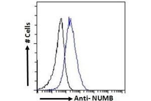 (ABIN184679) Flow cytometric analysis of paraformaldehyde fixed A431 cells (blue line), permeabilized with 0. (NUMB anticorps  (C-Term))