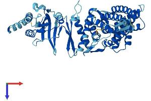 AlphaFold protein structure predicition of Mouse Recombinant Cct6b Protein, UniprotID Q61390