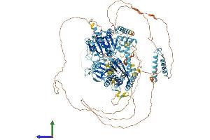 AlphaFold protein structure predicition of Human Recombinant TTF2 Protein, UniprotID Q9UNY4