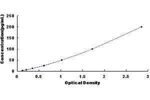 ELISA image for Prolactin (PRL) ELISA Kit (ABIN416284)