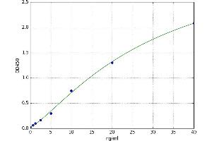 A typical standard curve
