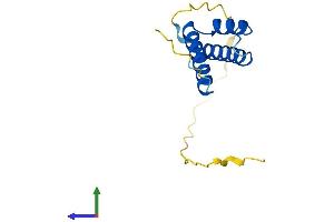 AlphaFold protein structure predicition of Human Recombinant COA6 Protein, UniprotID Q5JTJ3
