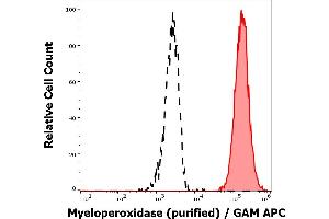 Separation of human neutrophil granulocytes (red-filled) from lymphocytes (black-dashed) in flow cytometry analysis (intracellular staining) of human peripheral whole blood stained using anti-human Myeloperoxidase (MPO421-8B2) purified antibody (concentration in sample 1 μg/mL) GAM APC.