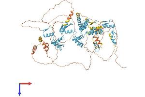 AlphaFold protein structure predicition of Human Recombinant ZKSCAN5 Protein, UniprotID Q9Y2L8