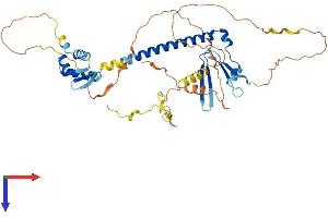 AlphaFold protein structure predicition of Mouse Recombinant E2f1 Protein, UniprotID Q61501