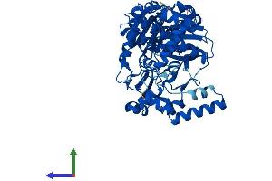 AlphaFold protein structure predicition of Human Recombinant GK5 Protein, UniprotID Q6ZS86