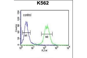Flow cytometric analysis of K562 cells (right histogram) compared to a negative control cell (left histogram). (Galanin Receptor 1 anticorps  (AA 174-200))