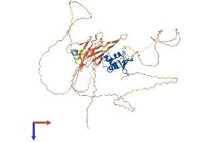 AlphaFold protein structure predicition of Human Recombinant ELF2 Protein, UniprotID Q15723
