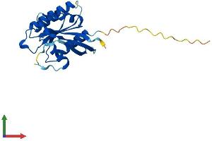 AlphaFold protein structure predicition of Human Recombinant NKIRAS1 Protein, UniprotID Q9NYS0