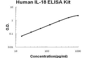 Human IL-18 PicoKine ELISA Kit standard curve