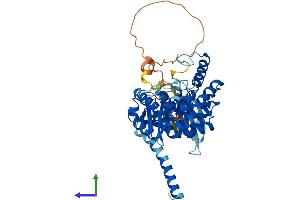AlphaFold protein structure predicition of Human Recombinant TPH2 Protein, UniprotID Q8IWU9