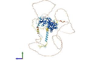 AlphaFold protein structure predicition of Mouse Recombinant Nbn Protein, UniprotID Q9R207
